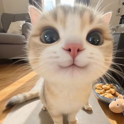 a happy cat in a house